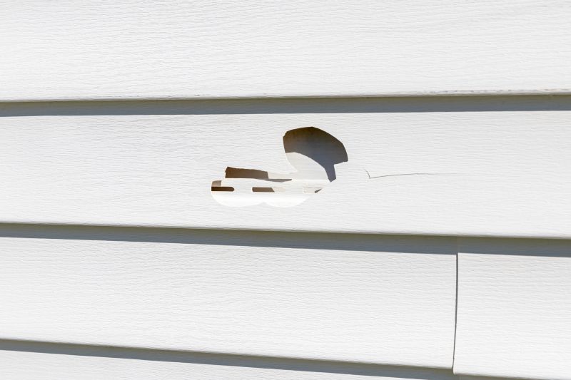 Seamless Vinyl Siding Fix