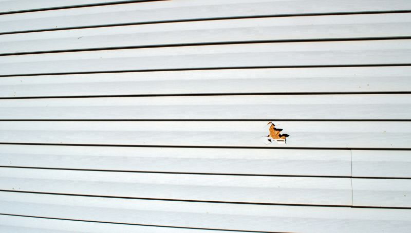 Expert Repair Evaluation